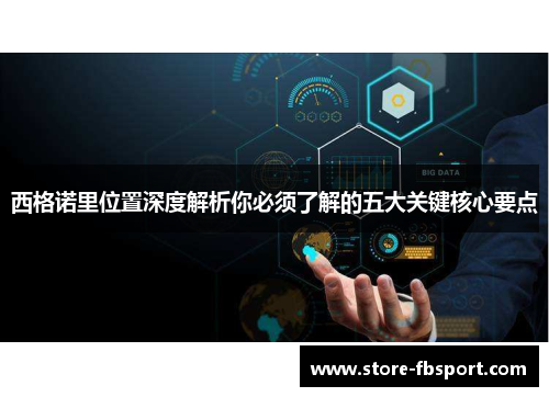 西格诺里位置深度解析你必须了解的五大关键核心要点