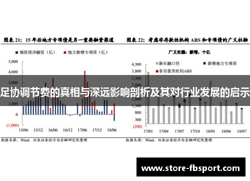 足协调节费的真相与深远影响剖析及其对行业发展的启示