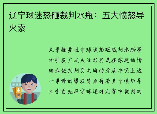 辽宁球迷怒砸裁判水瓶:五大愤怒导火索